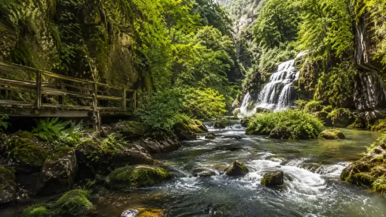 Gorges de l’Auvézère avec cascade rivière sauvage et passerelle en forêt