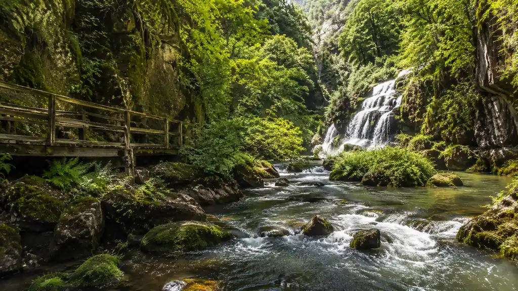 Gorges de l’Auvézère avec cascade rivière sauvage et passerelle en forêt